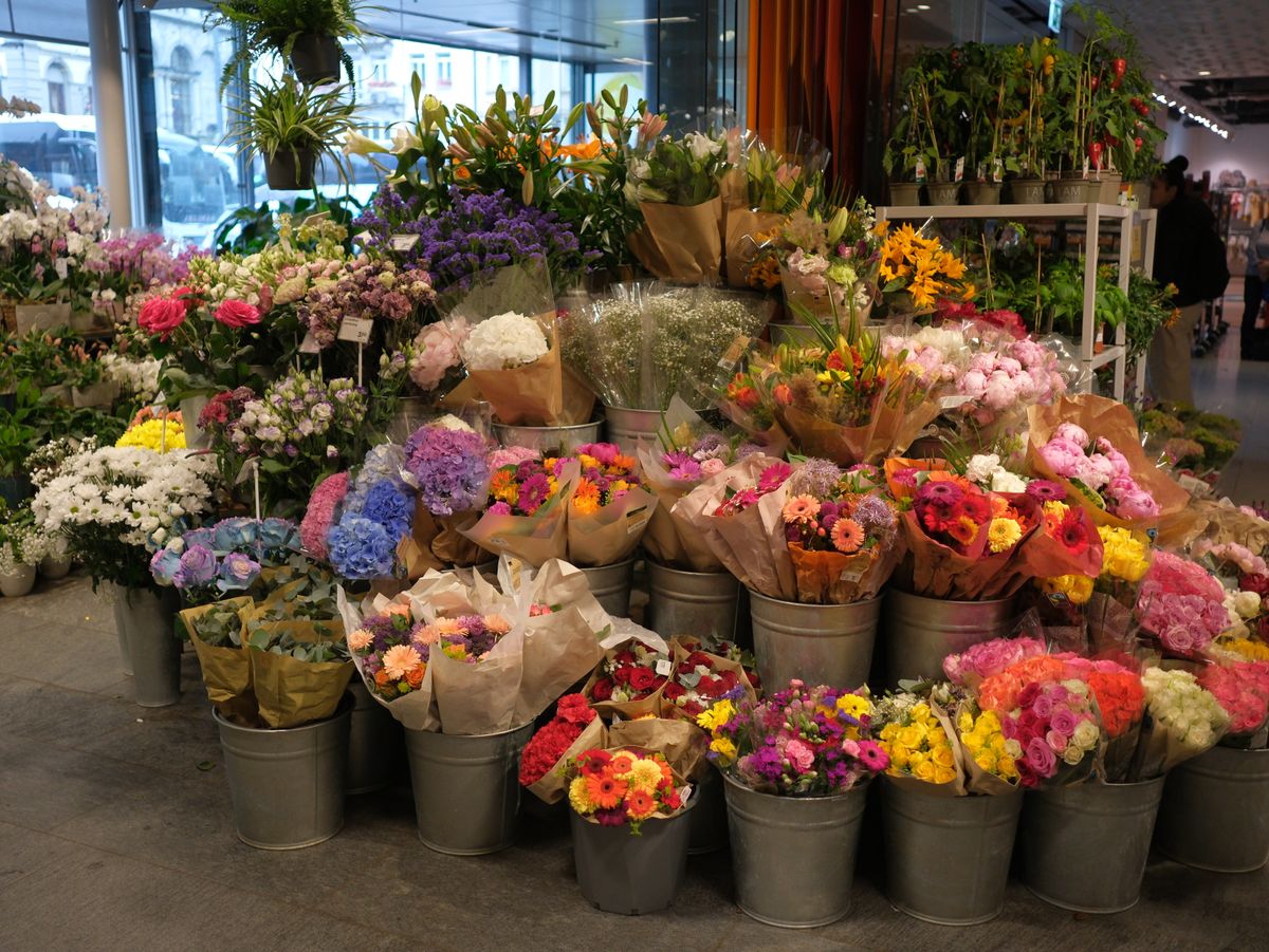 Buckets of cut flowers ready for the shop